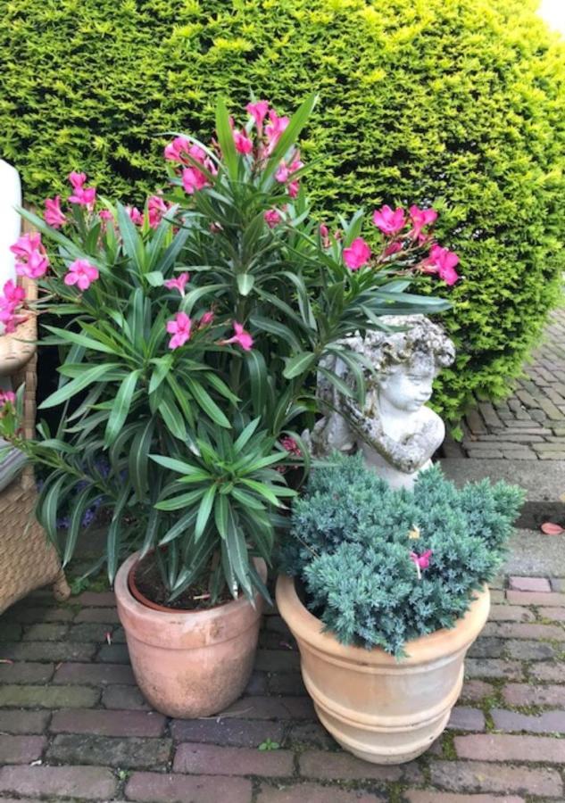 B&B Ereprijs Den Haag Ngoại thất bức ảnh