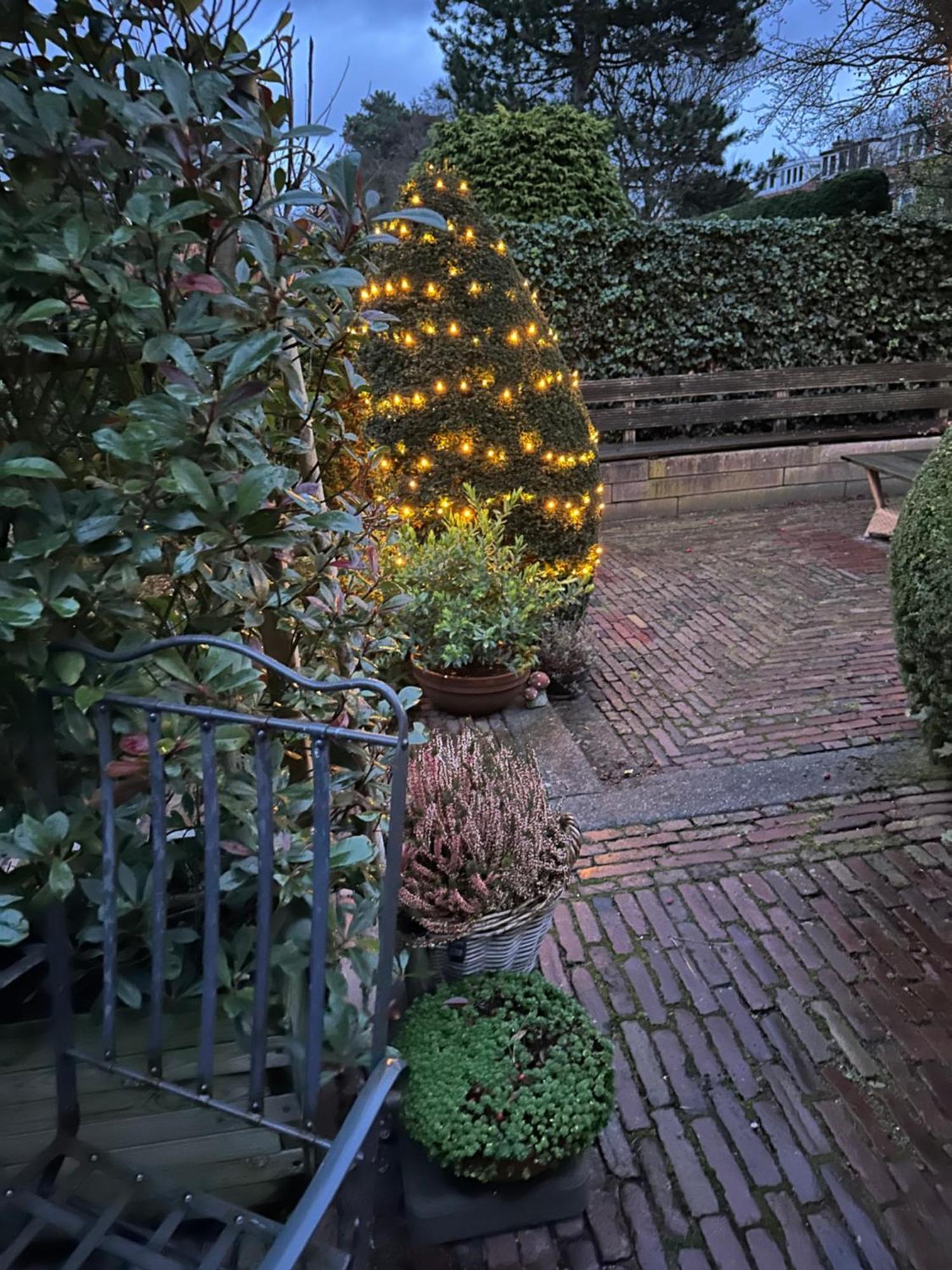 B&B Ereprijs Den Haag Ngoại thất bức ảnh